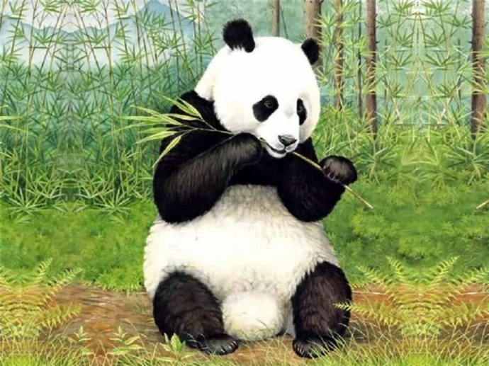 中国将建熊猫公园