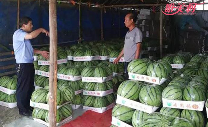 警察帮瓜农卖1.5万斤西瓜