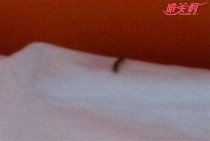 床头爬10公分蜈蚣