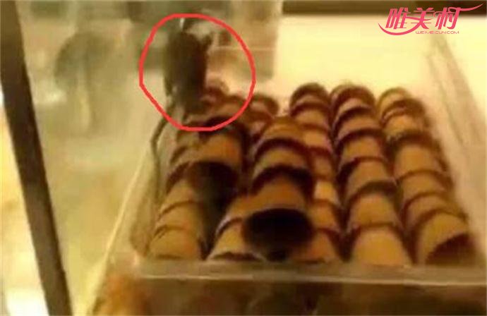 面包店内有活老鼠爬蛋卷