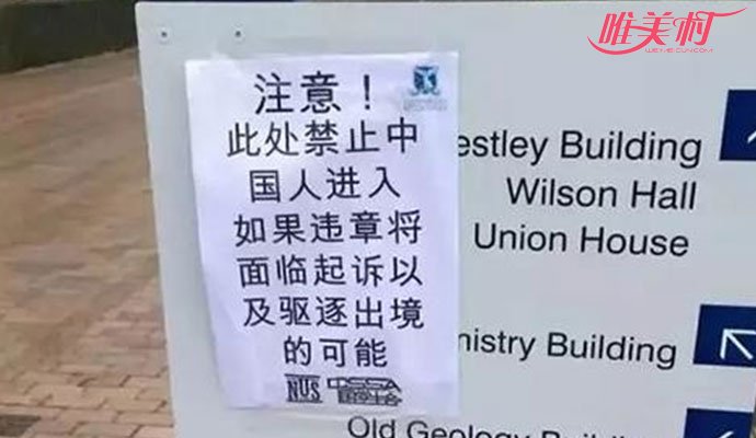悉尼大学现杀死中国人标语