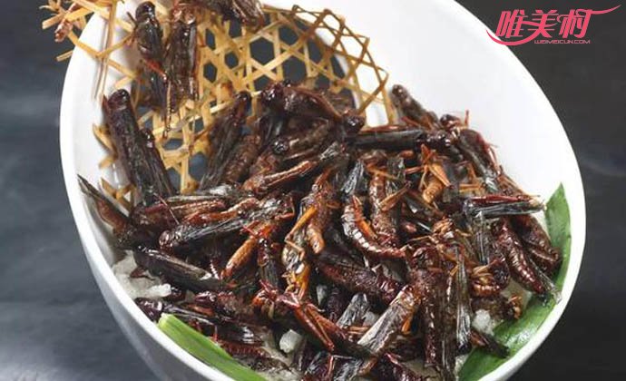 祸害中国几千年虫子变美食
