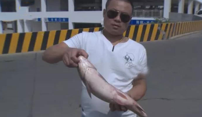 神秘怪鱼流入长沙市场