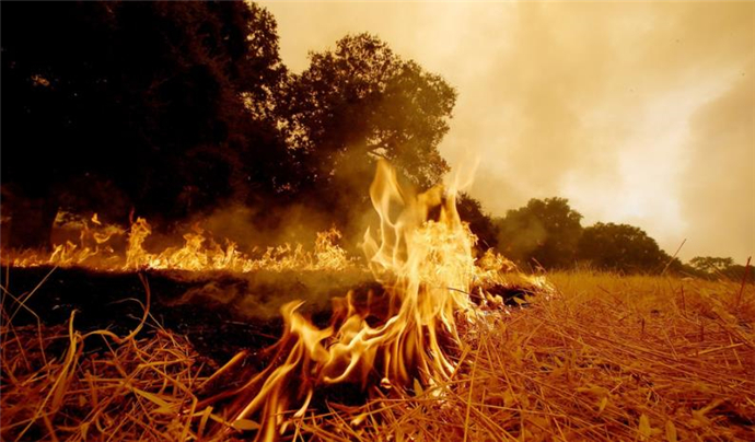 美国加州发生森林大火