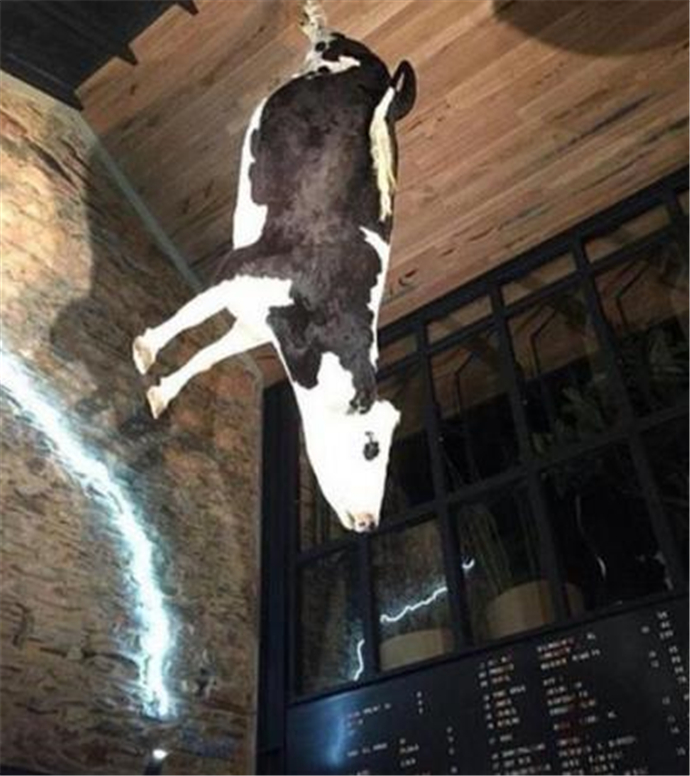 餐厅悬挂奶牛尸体