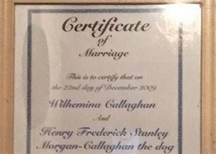 女子与狗结婚八年