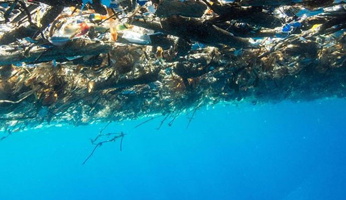 塑料海洋触目惊心