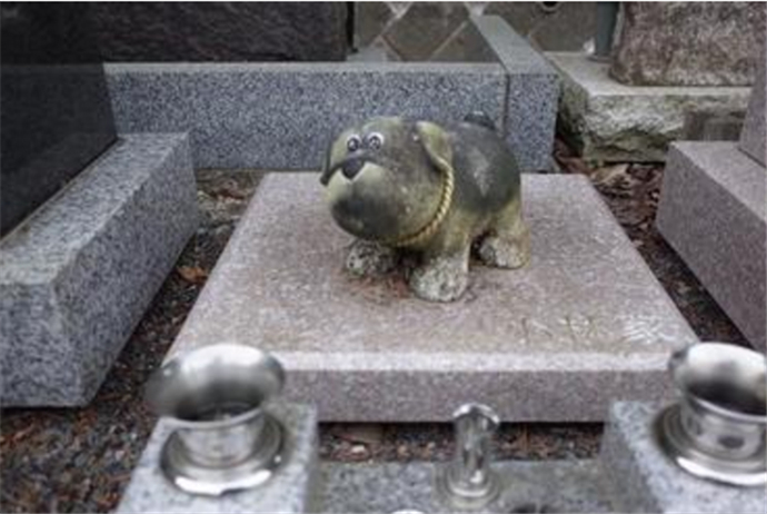 宠物墓地受追捧