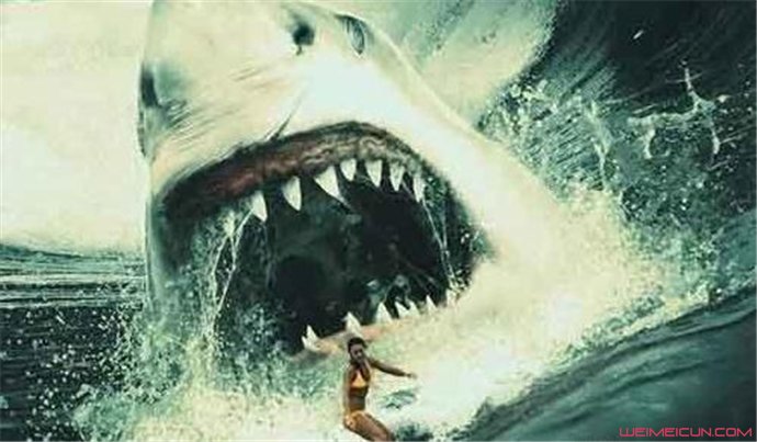 巨齿鲨的天敌是谁