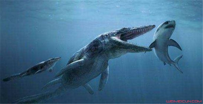 史前海洋三大霸主 沧龙吃巨齿鲨图片引哗然