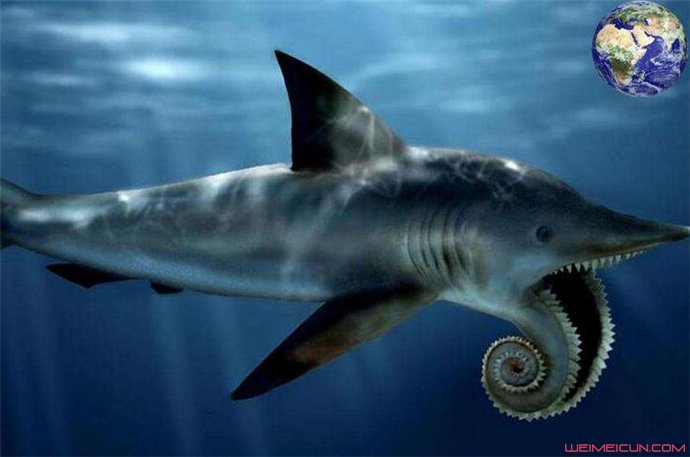 史前海洋三大霸主 沧龙吃巨齿鲨图片引哗然