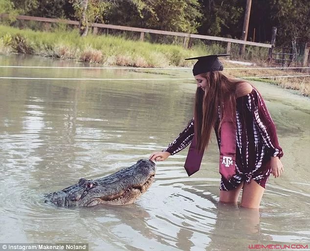 女生和鳄鱼拍毕业照