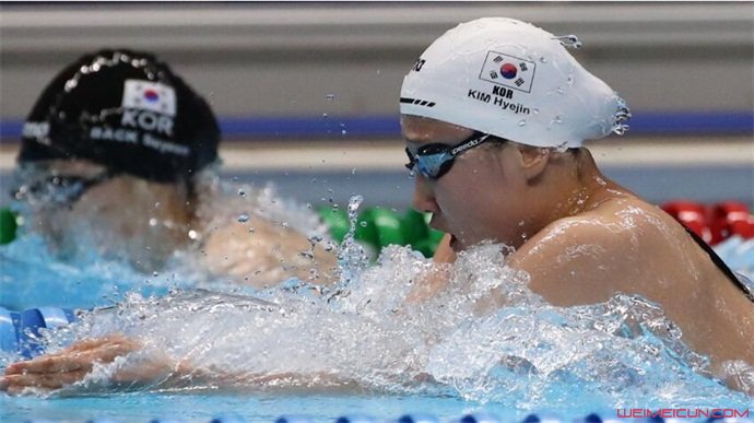 中韩游泳选手为何冲突