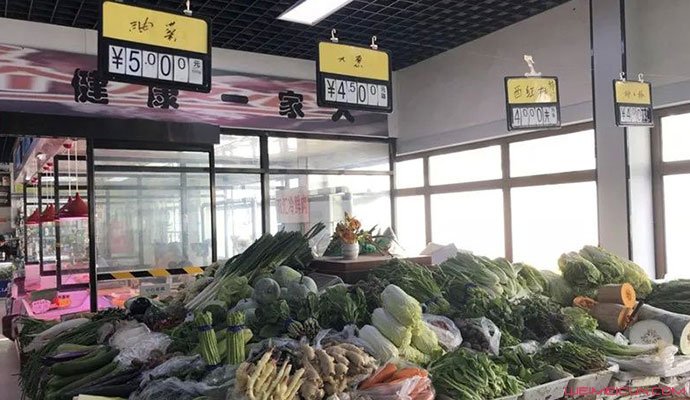 寿光香菜每斤40元
