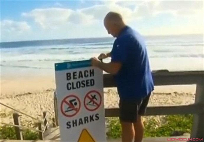 澳大利亚男子遇鲨鱼袭击