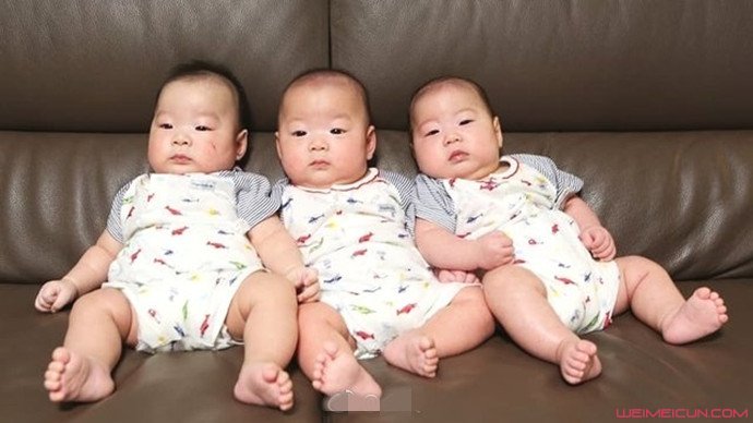 宋家三胞胎婴儿照