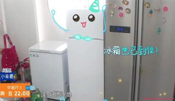 黄晓明为什么要买两台冰箱