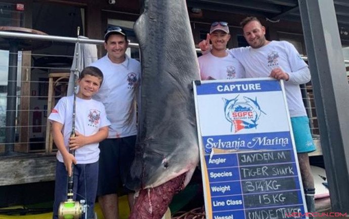 男童捕628斤巨鲨