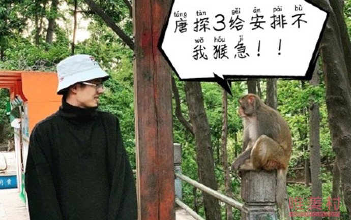 刘昊然和猴子对视