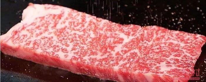 日本神户牛肉为什么贵