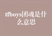 TFBOYS团魂：纯真少年的旋律