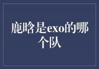 揭秘鹿晗的EXO队伍身份，他在EXO中属于哪个队？