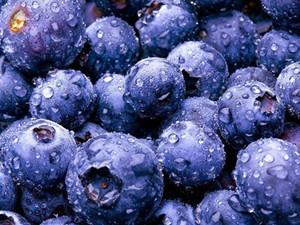 蓝莓的功效与作用 哪几类人群吃蓝莓最好