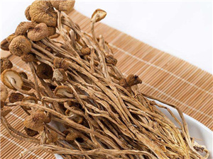 茶树菇的功效与作用及禁忌有哪些 关键点整
