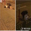 香港大学生街头野战门女主曝光，私下穿着也