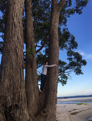 柳岩晒澳洲工作游玩照 光脚爬树喂袋鼠