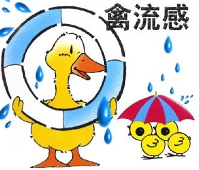 H7N9再度来袭，对于禽流感我们真的无能为力