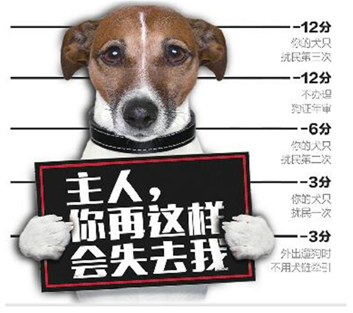 济南养犬积分制 养狗也要具备一系列证件！