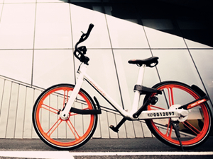 新加坡共享单车 从国内蔓延到世界范围的竞