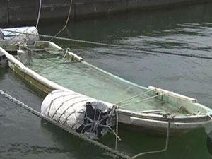 日渔船被海啸卷走 揭秘失踪6年渔船诡异出现