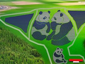 世界首座熊猫外形光伏电站建成 激发青少年对太阳能应用的兴趣