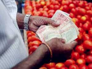 印度出现偷西红柿大盗 政府派出保镖保护西