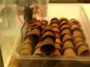 面包店内有活老鼠爬蛋卷 简直恶心至极店员