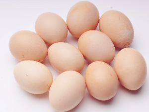 欧洲现百万毒鸡蛋 疑似除虫药污染所致
