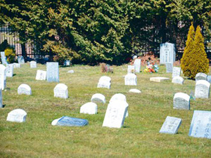 纽约70座墓碑被推倒 现场留下仇恨性字眼监