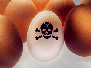 毒鸡蛋事件发酵 调查发现受污染鸡蛋已下架