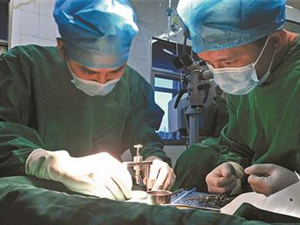 男子移植猪眼角膜 手术过程曝光并非直接移