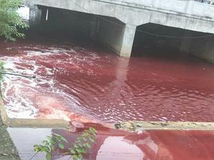 江西九江现红色河水 现场“血腥”一片相当