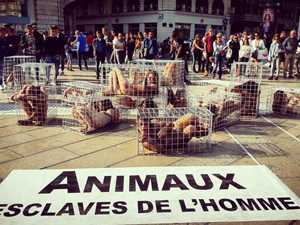 全裸抗议滥杀动物 笼中女性蜷缩身子满身脏