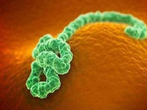 重组埃博拉病毒病疫苗 国产自主研发首创冻