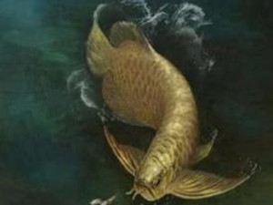 最完整金龙鱼化石被发现 对金龙鱼的生长年