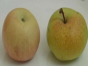 航空公司奇葩套餐 仅提供一个苹果一个梨