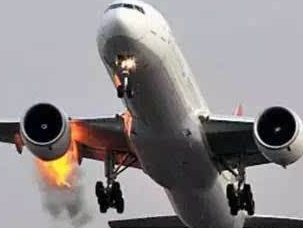 客机撞鸟引擎故障 揭飞机怕小鸟碰撞原因