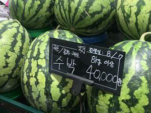 韩国蔬菜水果疯涨 曝背后原因一个西瓜4万韩元