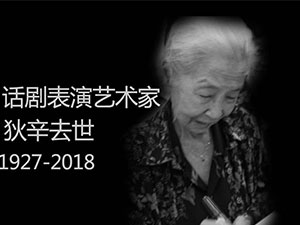 91岁艺术家狄辛去世 狄辛去世原因曝光遗愿