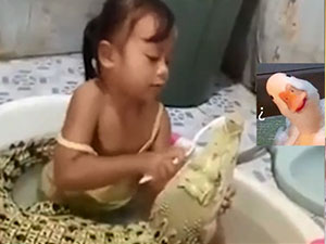 3岁女童与鳄鱼做朋友 其与鳄鱼共浴同睡视频